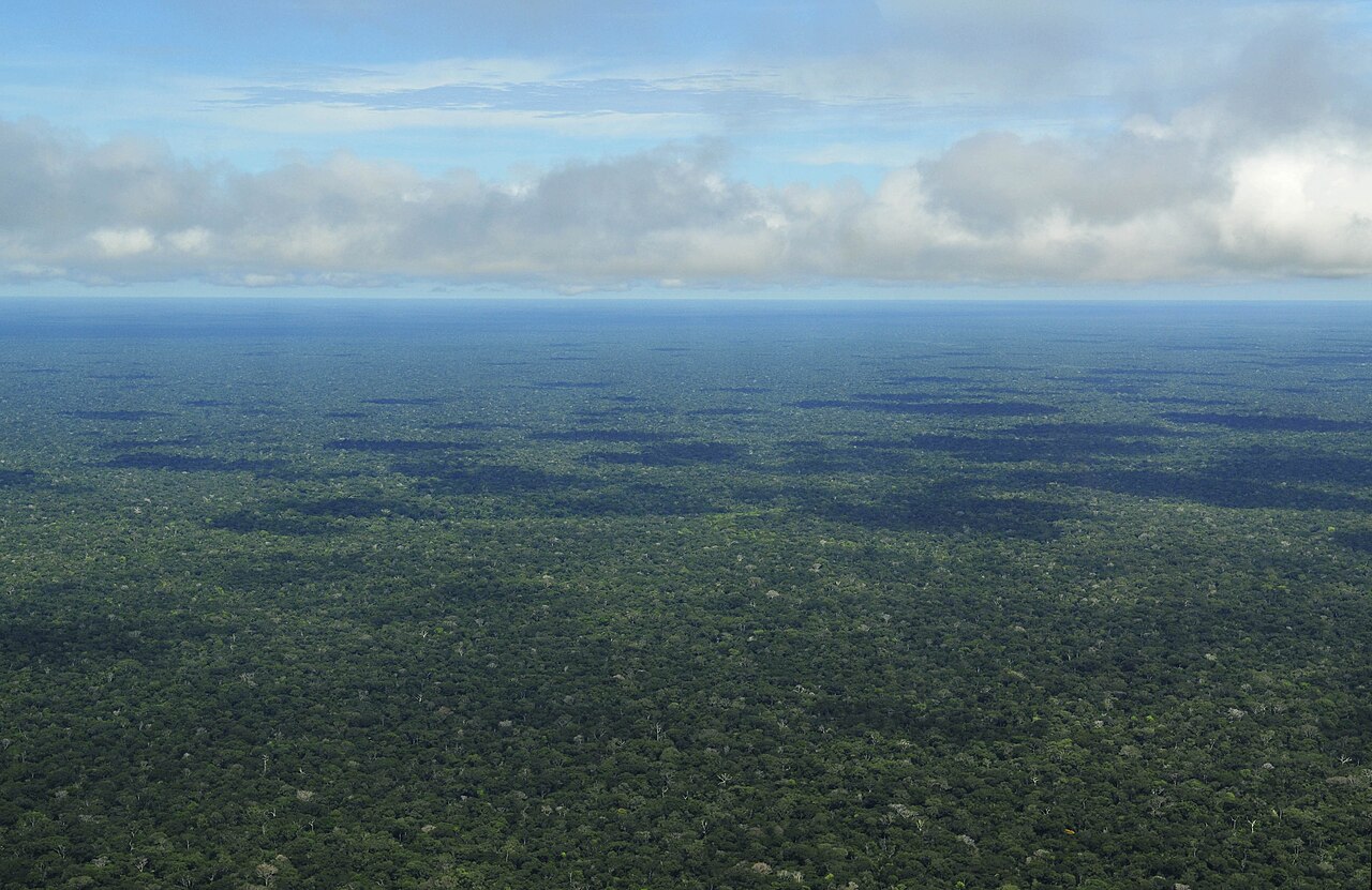 Aerial view of a dense rainforest canopy, a living system whose balance climate risk analysis tries to read.